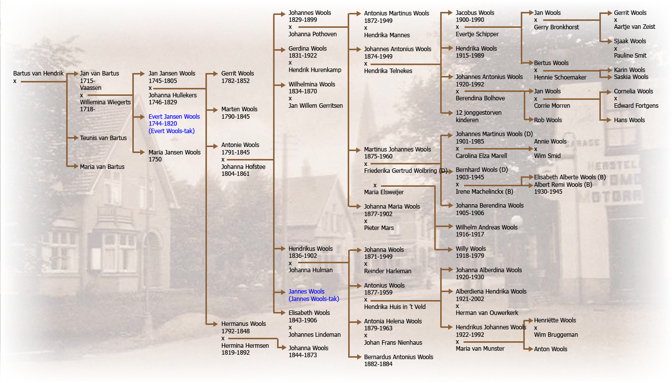 Stamboom Johannes & Hendrikus Wools